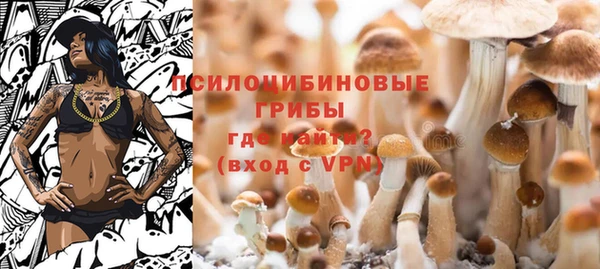 марки lsd Горняк
