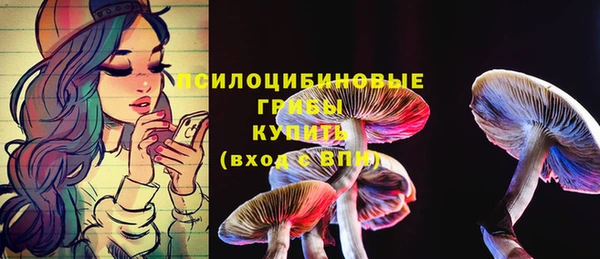 соль ск Вязники