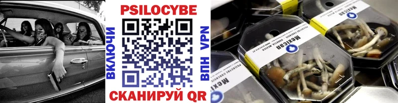 как найти наркотики  блэк спрут рабочий сайт  Галлюциногенные грибы GOLDEN TEACHER  Нововоронеж 